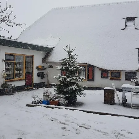 Bed & Breakfast Bloemenboerderij 3*