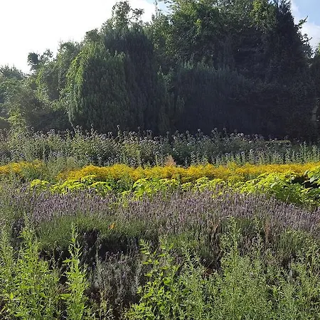 Bloemenboerderij 3*