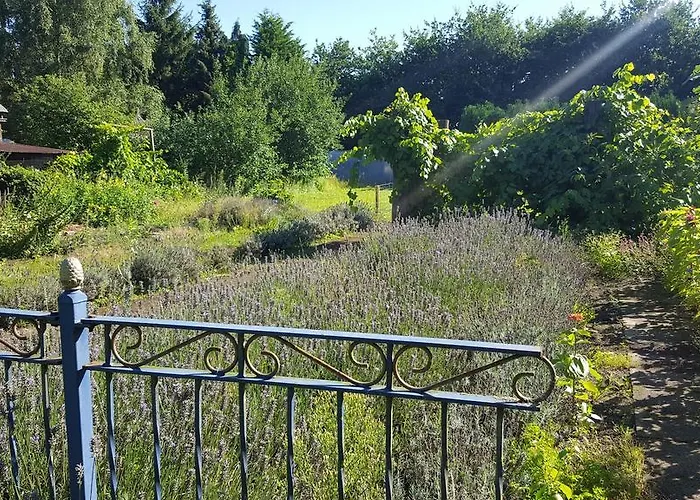 Bloemenboerderij Bed & Breakfast 3*